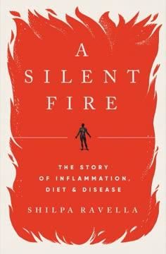 A Silent Fire book cover