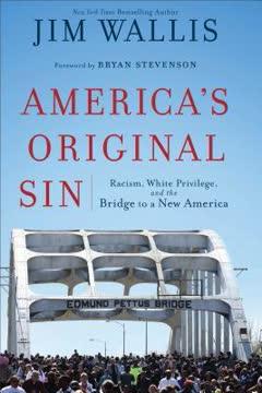 America's Original Sin book cover