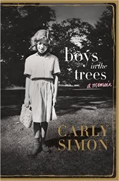 Boys in the Trees book cover