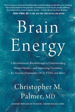 Brain Energy book cover
