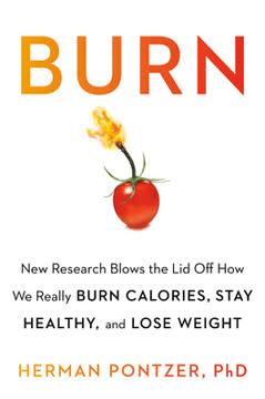 Burn book cover