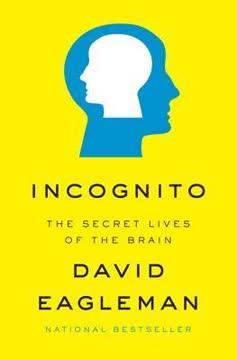 Incognito book cover