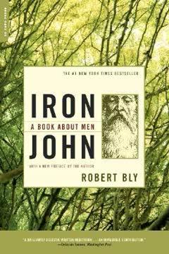 Iron John book cover