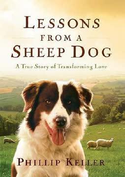 Lessons from a Sheep Dog book cover