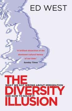The Diversity Illusion book cover