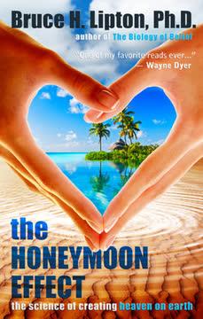 The Honeymoon Effect book cover