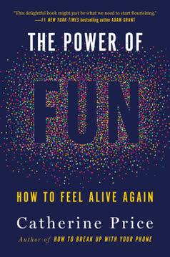 The Power of Fun book cover