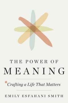 The Power of Meaning book cover