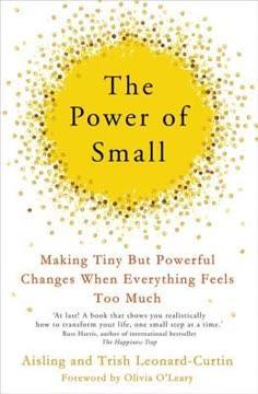 The Power of Small book cover
