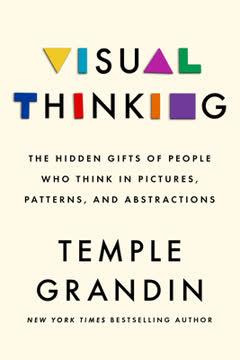 Visual Thinking book cover
