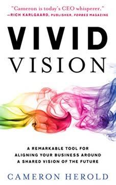 Vivid Vision book cover