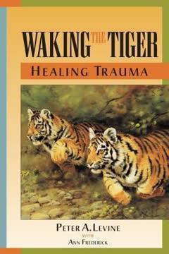 Waking the Tiger book cover