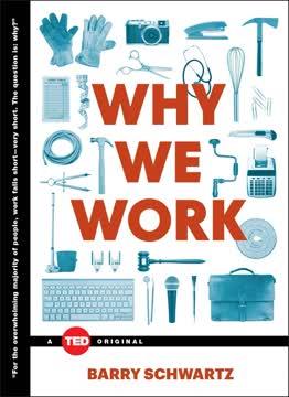 Why We Work book cover