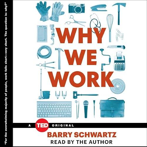 Why We Work book cover