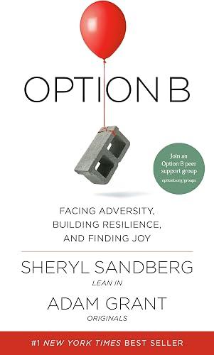 Option B book cover
