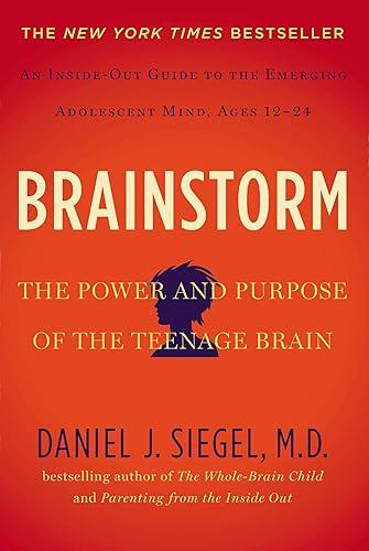 Brainstorm book cover