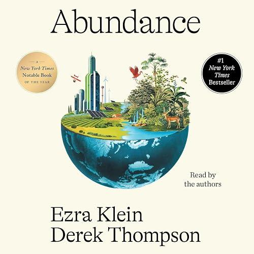 Abundance book cover