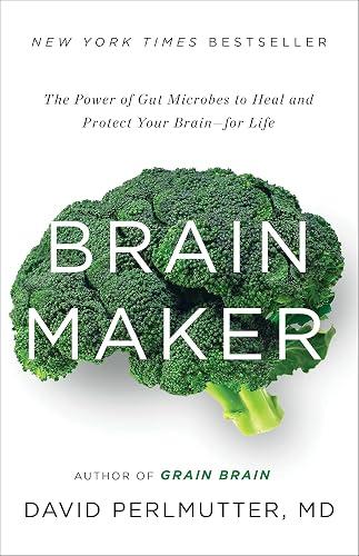 Brain Maker book cover