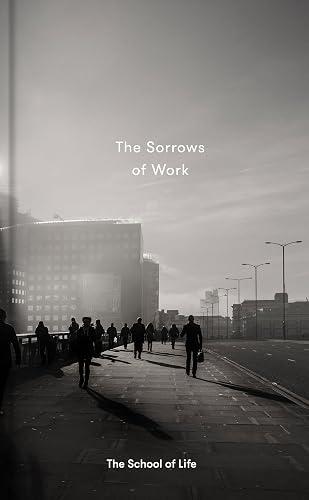 The Sorrows of Work book cover