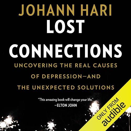 Lost Connections book cover