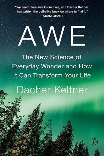 Awe book cover