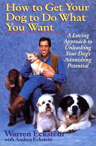 Best Self book cover
