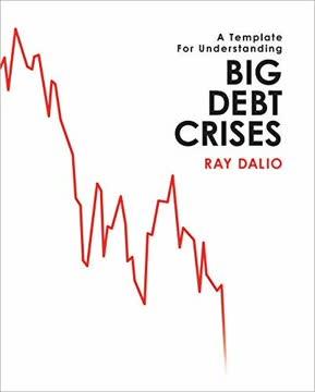 A Template for Understanding Big Debt Crises book cover