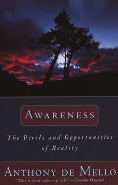 Awareness book cover