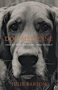 Dog Medicine book cover
