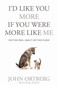 I'd Like You More If You Were More like Me book cover