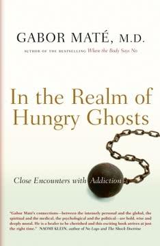 In the Realm of Hungry Ghosts book cover