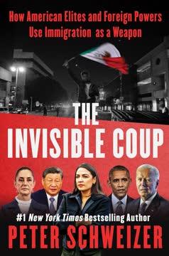 The Invisible Coup book cover