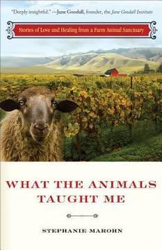 What the Animals Taught Me book cover