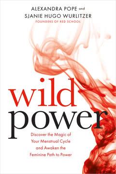 Wild Power book cover