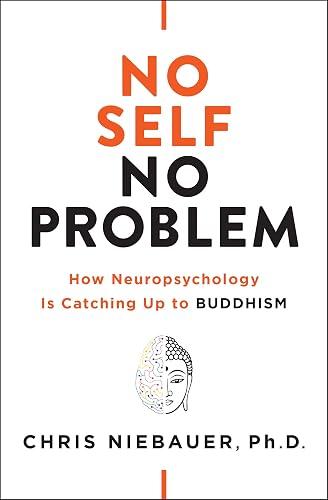 No Self No Problem book cover